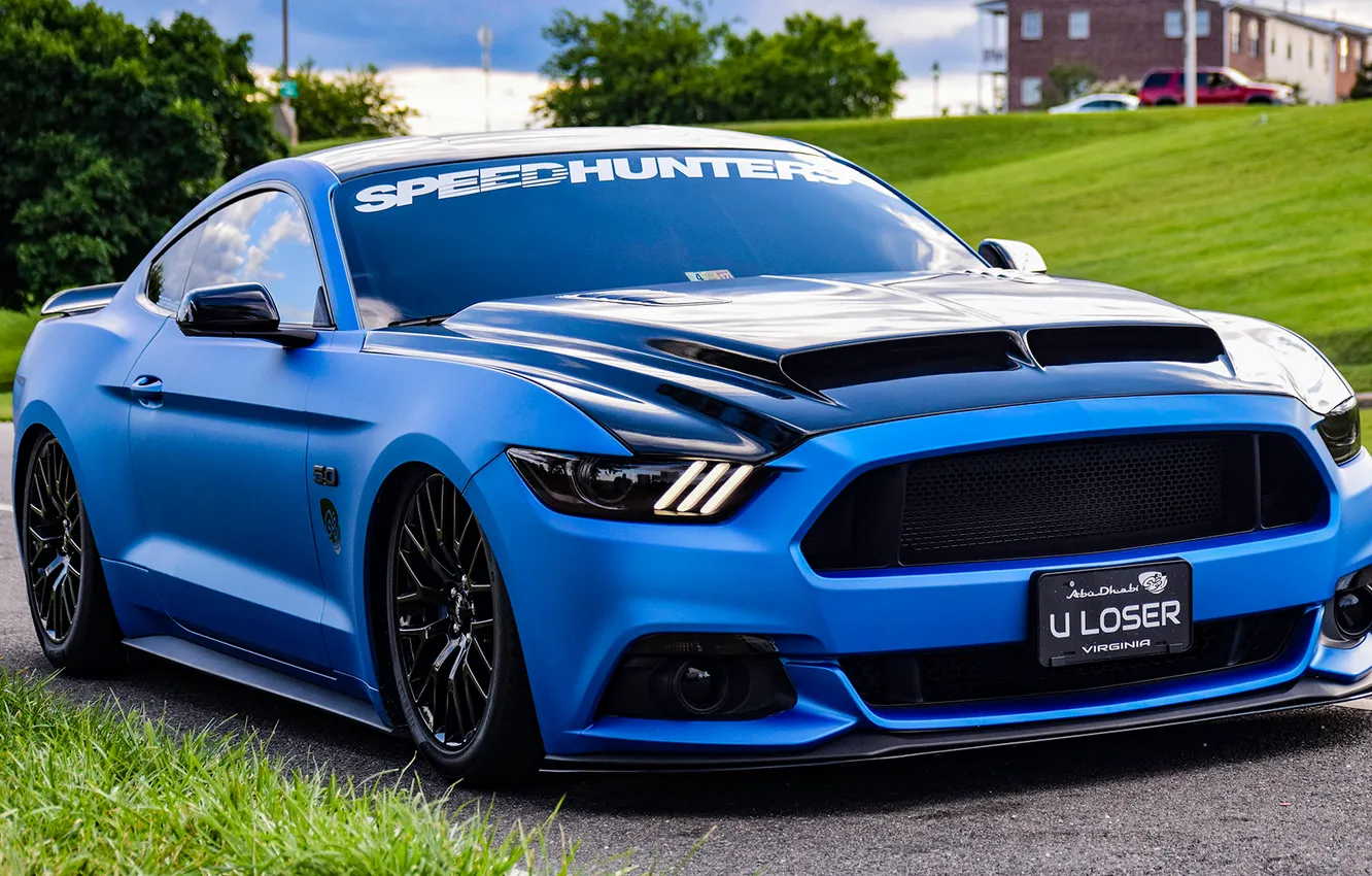 Фото обои трава, Ford Mustang, иномарка