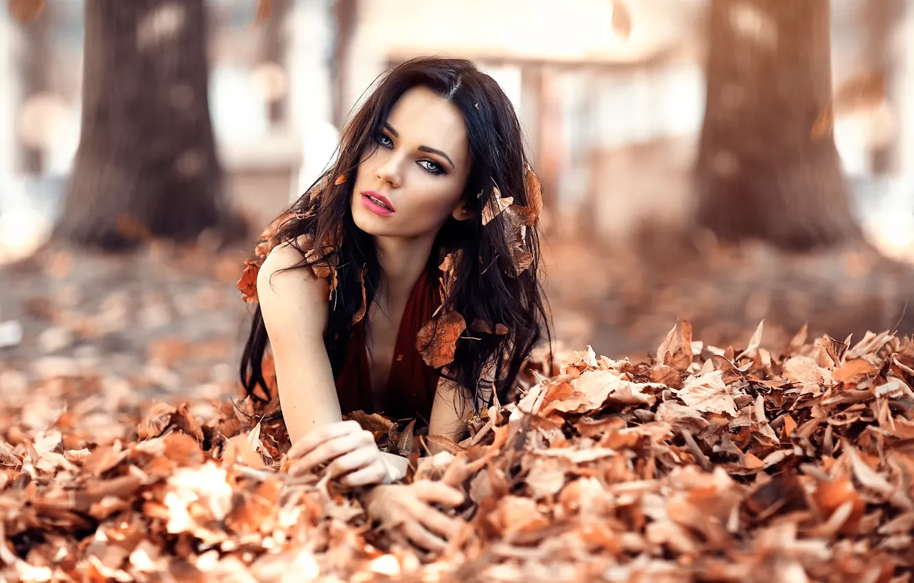 Фото обои осень, листья, девушка, волосы, пробуждение, Alessandro Di Cicco, Iced Eyes