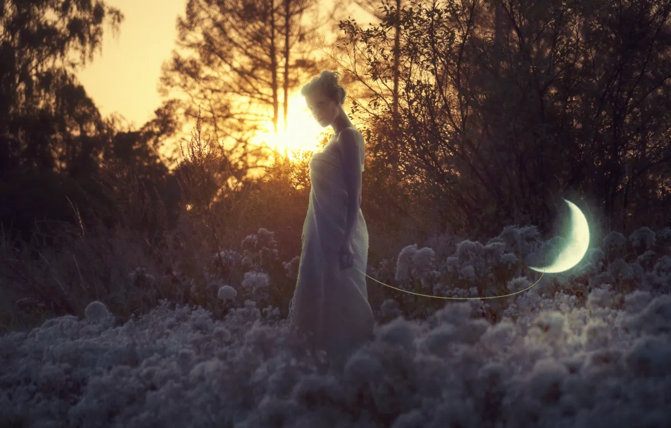 Фото обои девушка, деревья, закат, креатив, месяц, вечер, прогулка