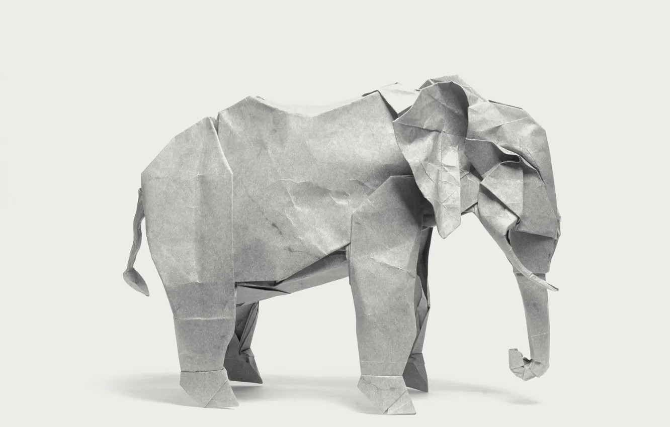 Фото обои бумага, слон, оригами