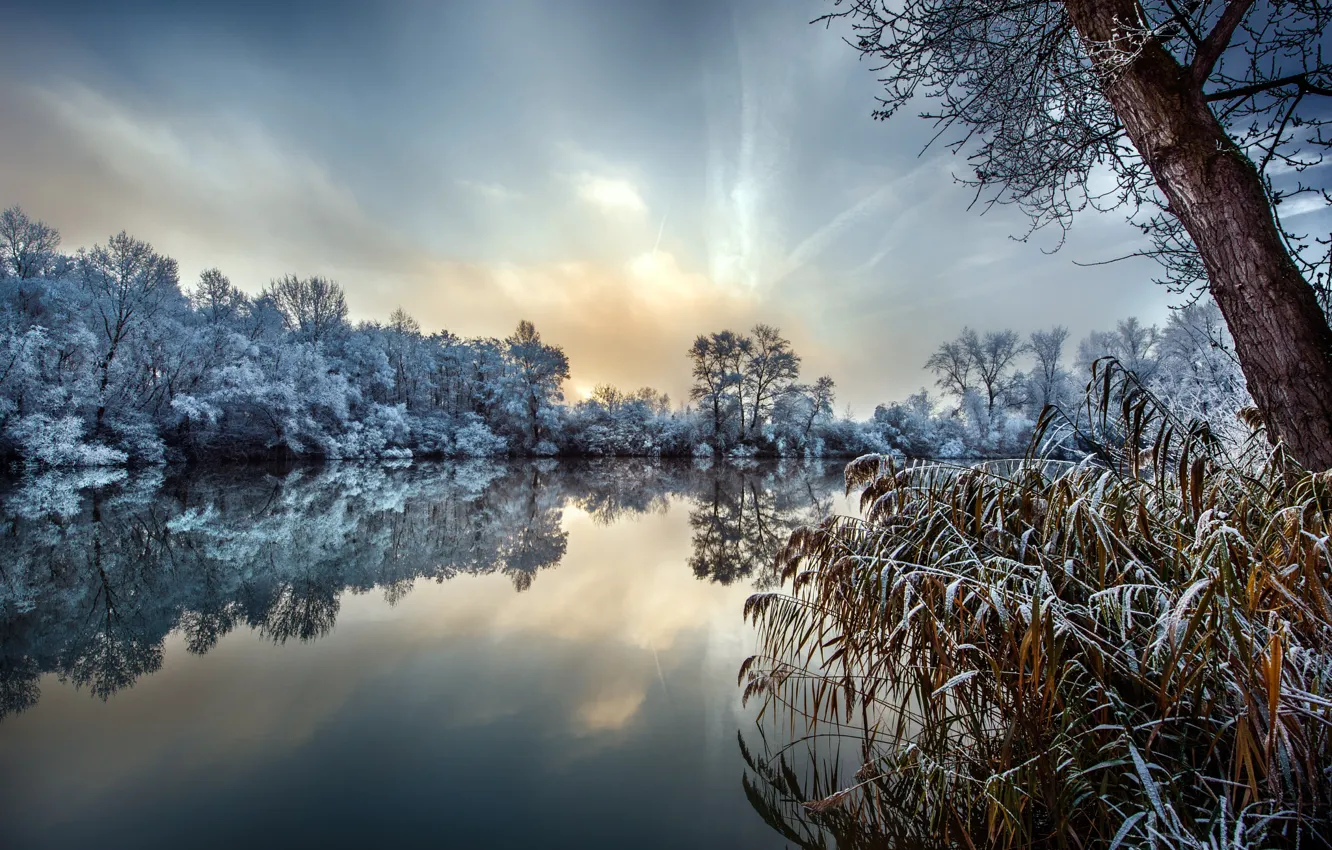 Фото обои зима, иней, трава, деревья, природа, озеро, Robert Didierjean