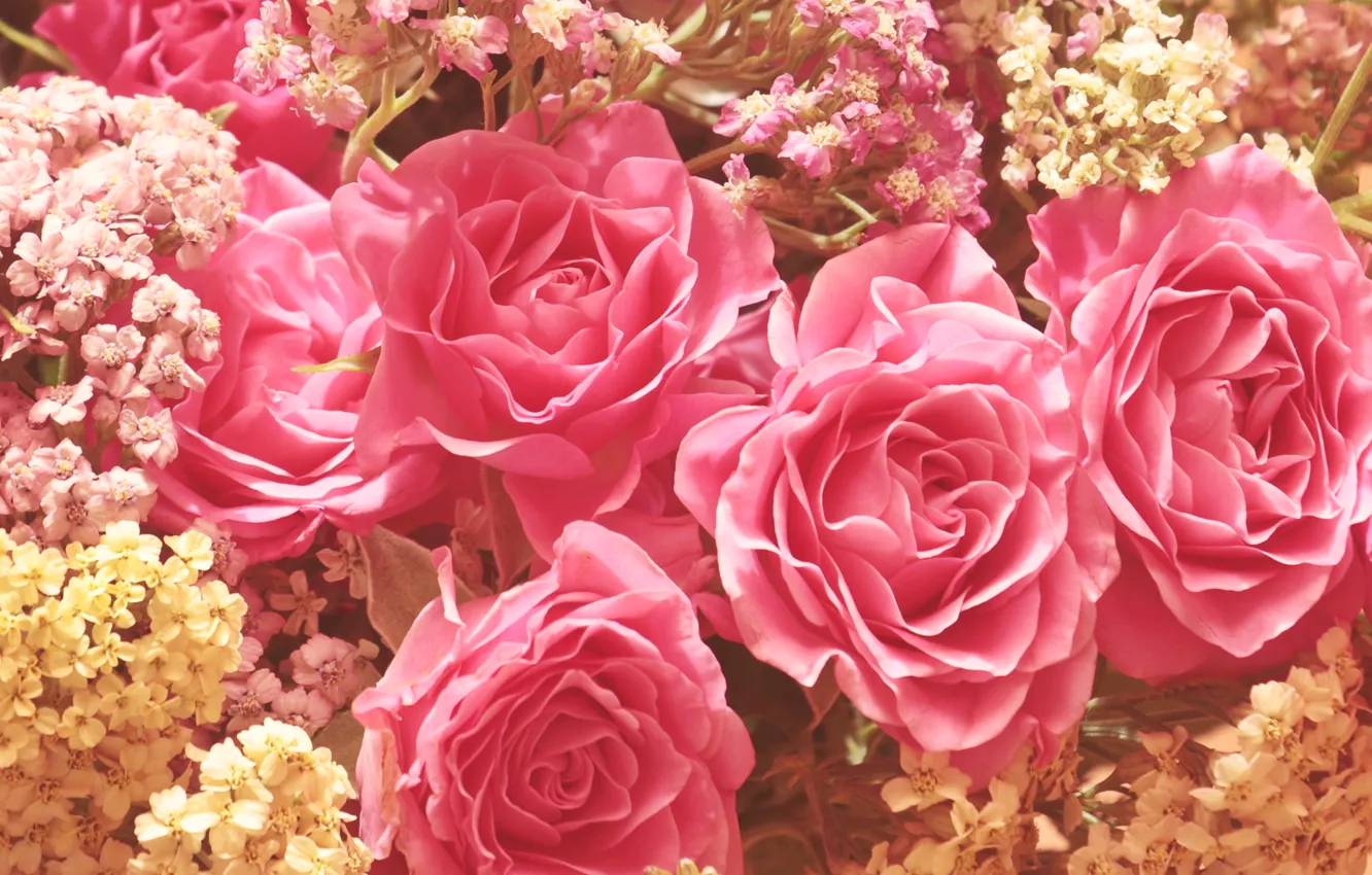 Фото обои цветы, розы, букет, розовые
