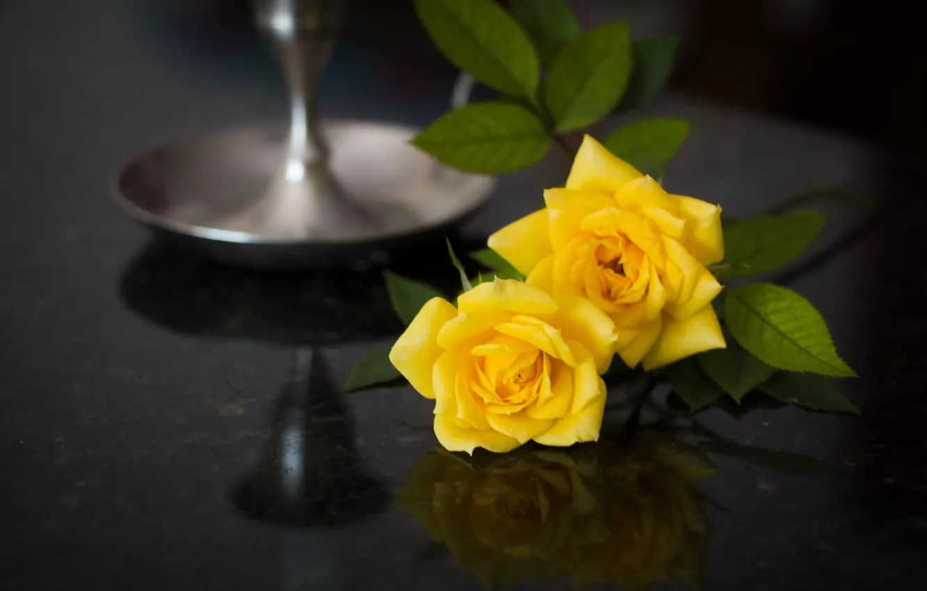 Фото обои отражение, розы, жёлтые розы