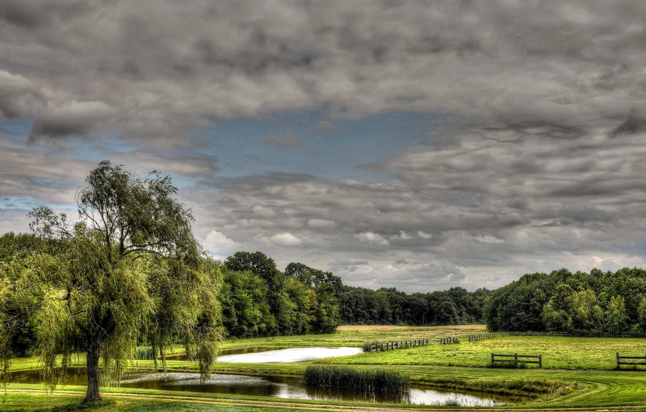 Фото обои поле, небо, облака, деревья, пруд, забор, луг