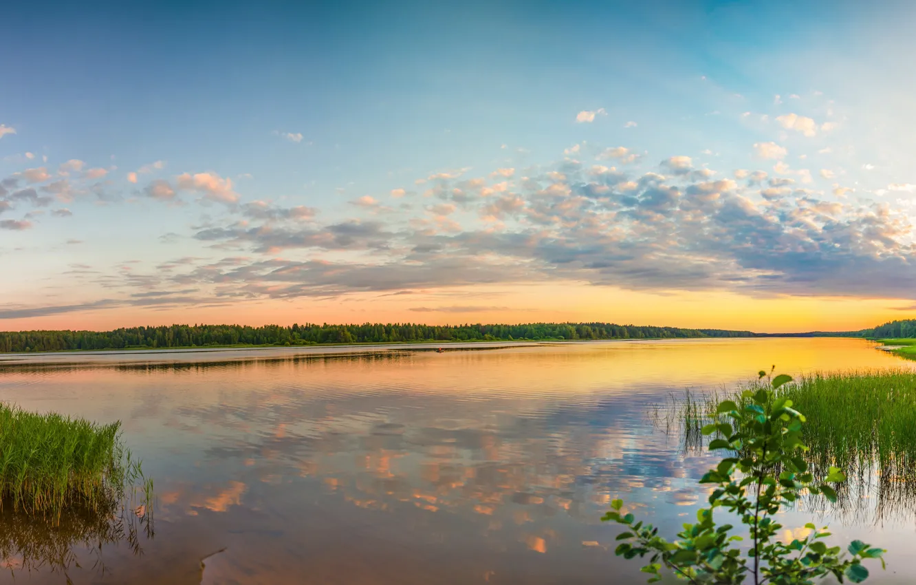 Фото обои песок, волны, лес, лето, небо, трава, вода, солнце