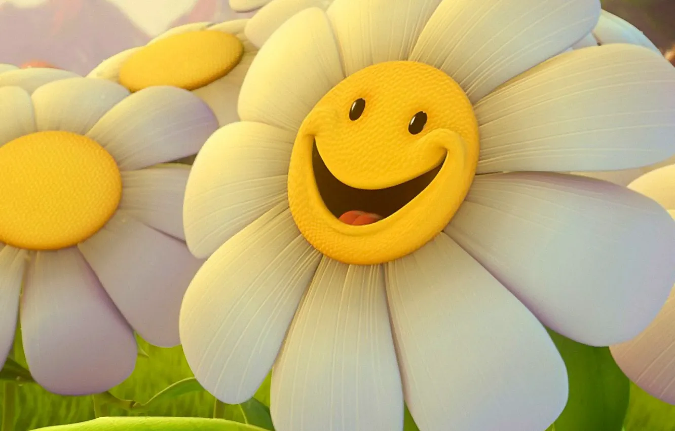 Фото обои цветок, улыбка, ромашка