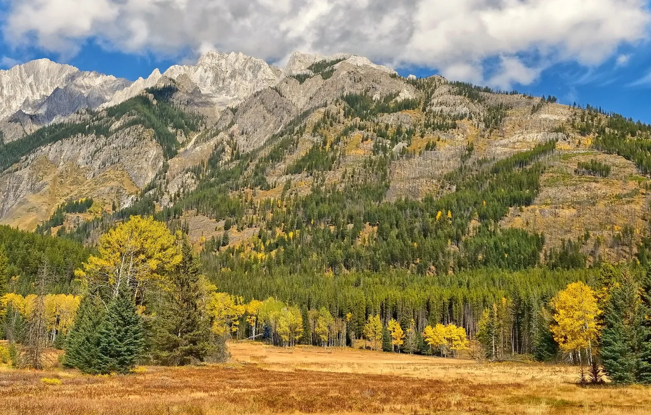 Фото обои осень, лес, небо, облака, деревья, горы, канада, canada