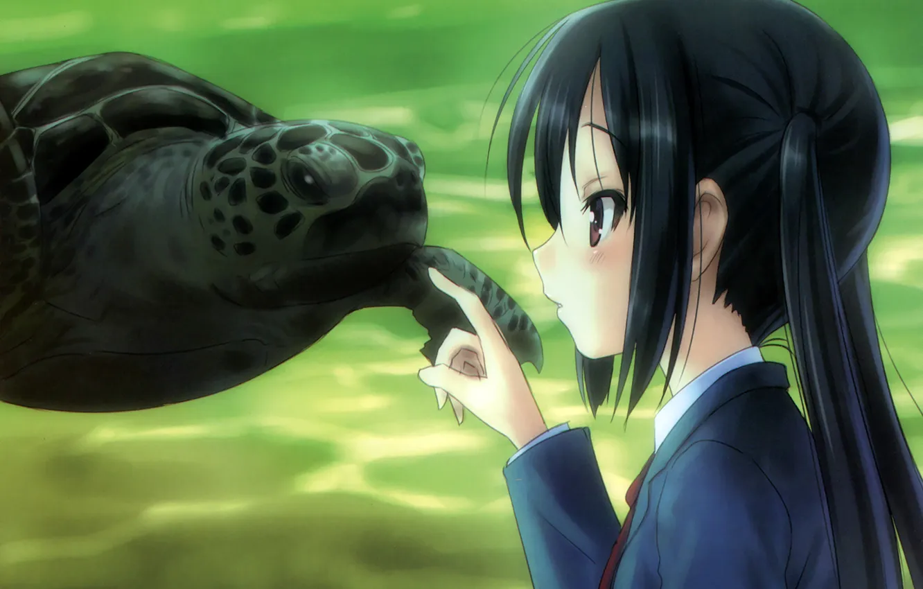 Фото обои аквариум, черепаха, аниме, девочка, океанариум