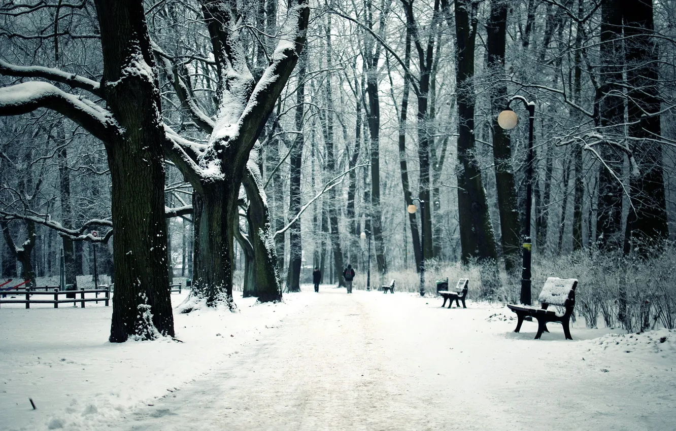 Фото обои зима, город, парк, скамьи