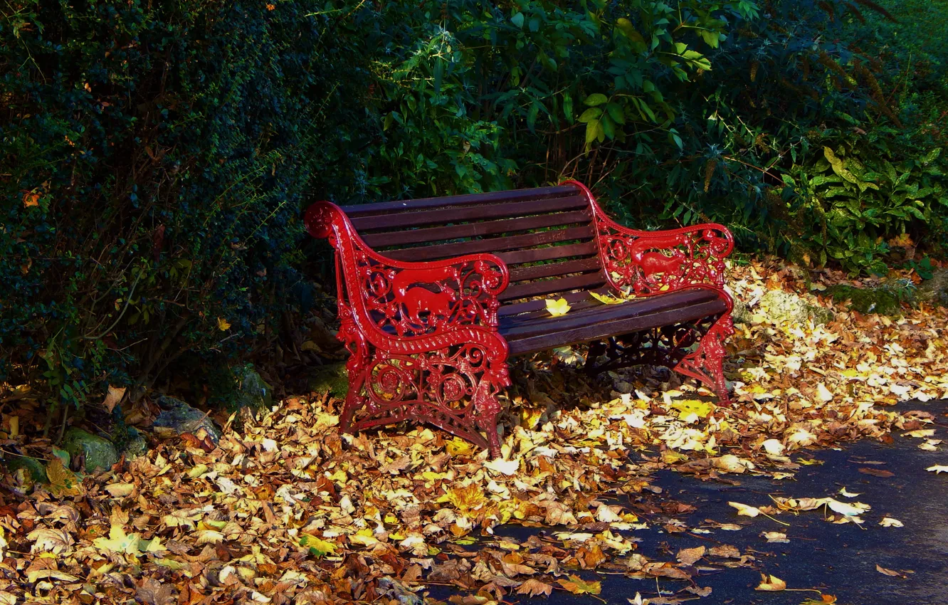 Фото обои скамейка, парк, листва, Осень, листопад, park, autumn, leaves