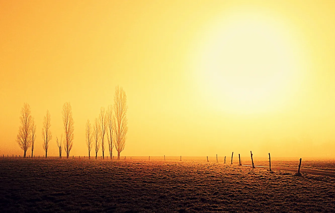 Фото обои поле, деревья, восход, забор, горизонт, солнечный