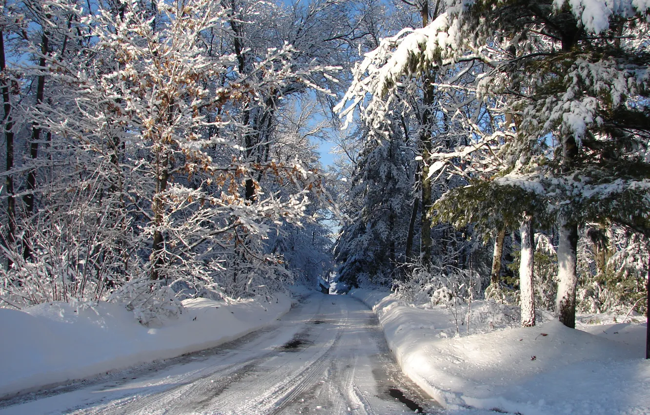 Фото обои зима, дорога, лес, снег, мороз, Висконсин, USA, США