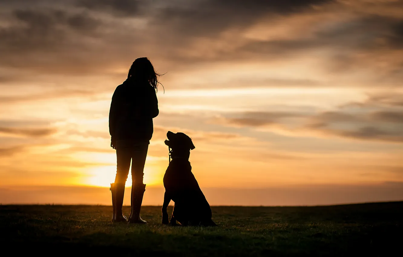Фото обои закат, собака, девочка