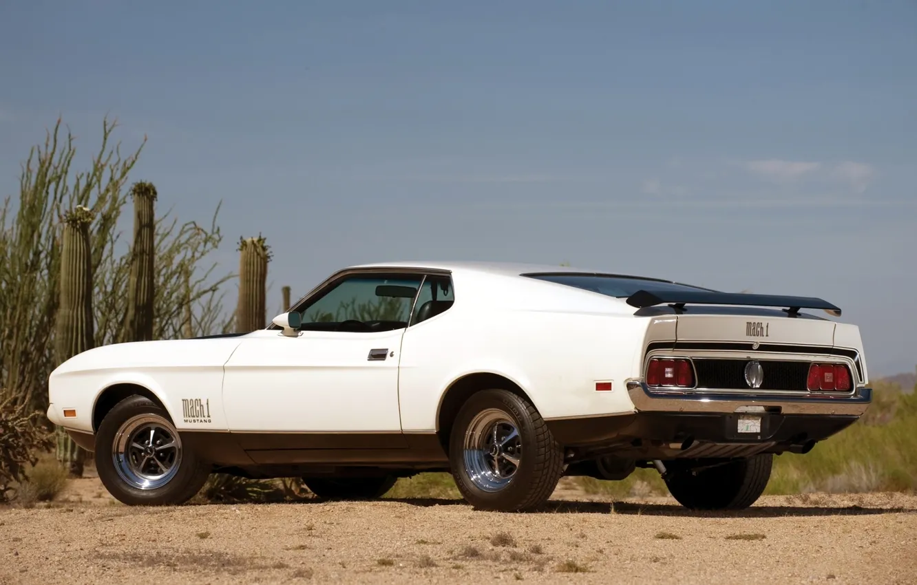 Фото обои белый, небо, Mustang, Ford, Форд, 1971, Мустанг, кактусы
