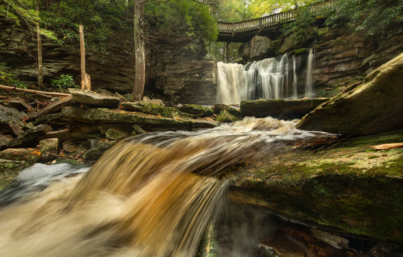 Фото обои мост, река, камни, водопад, State Park, West Virginia, Западная Виргиния, Elakala Falls