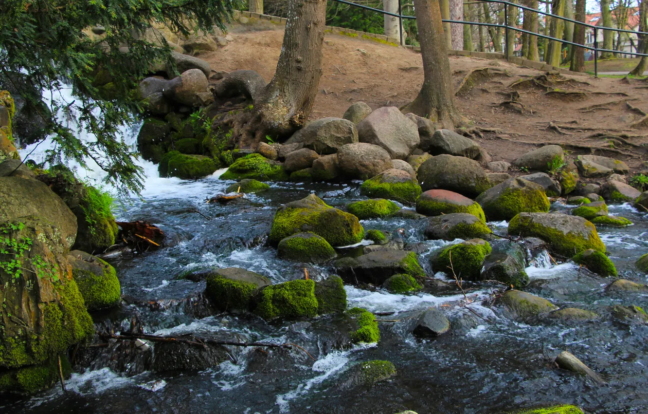 Фото обои river, water, park, stones