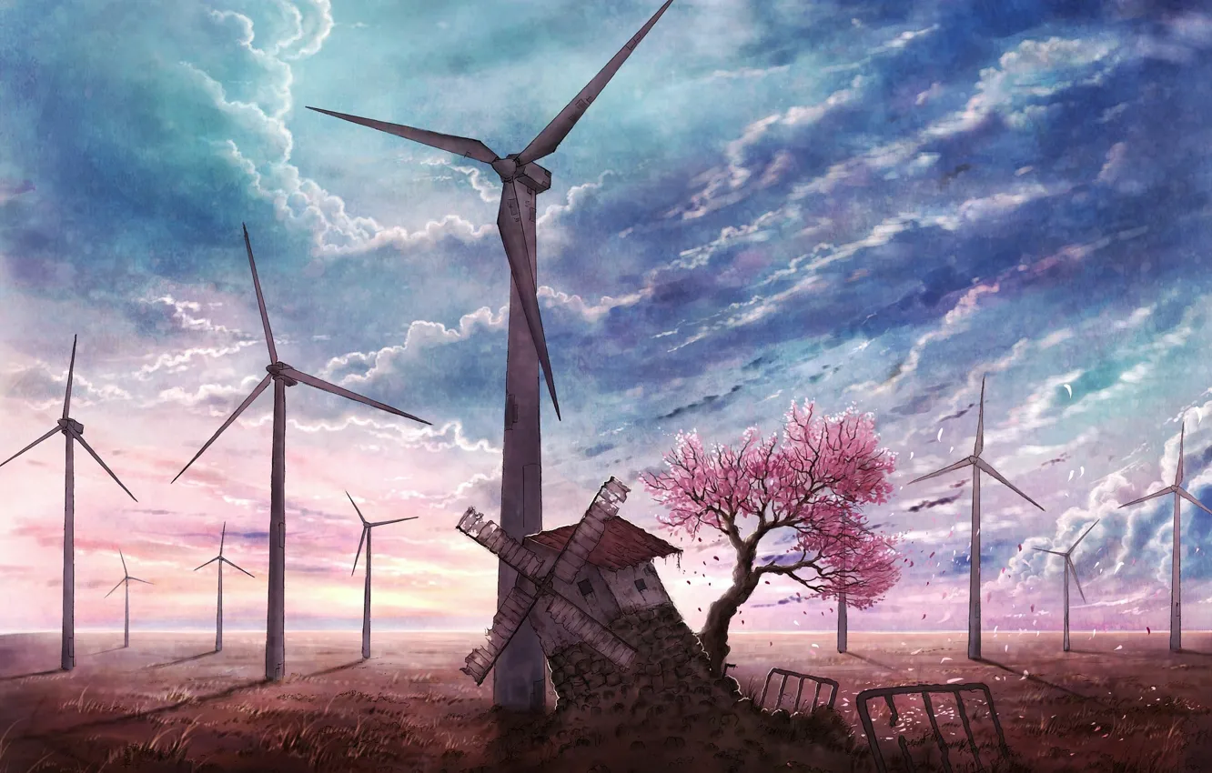 Фото обои небо, голубое, лепестки, сакура, мельница, цветущая, заброшенная, Sakura tree