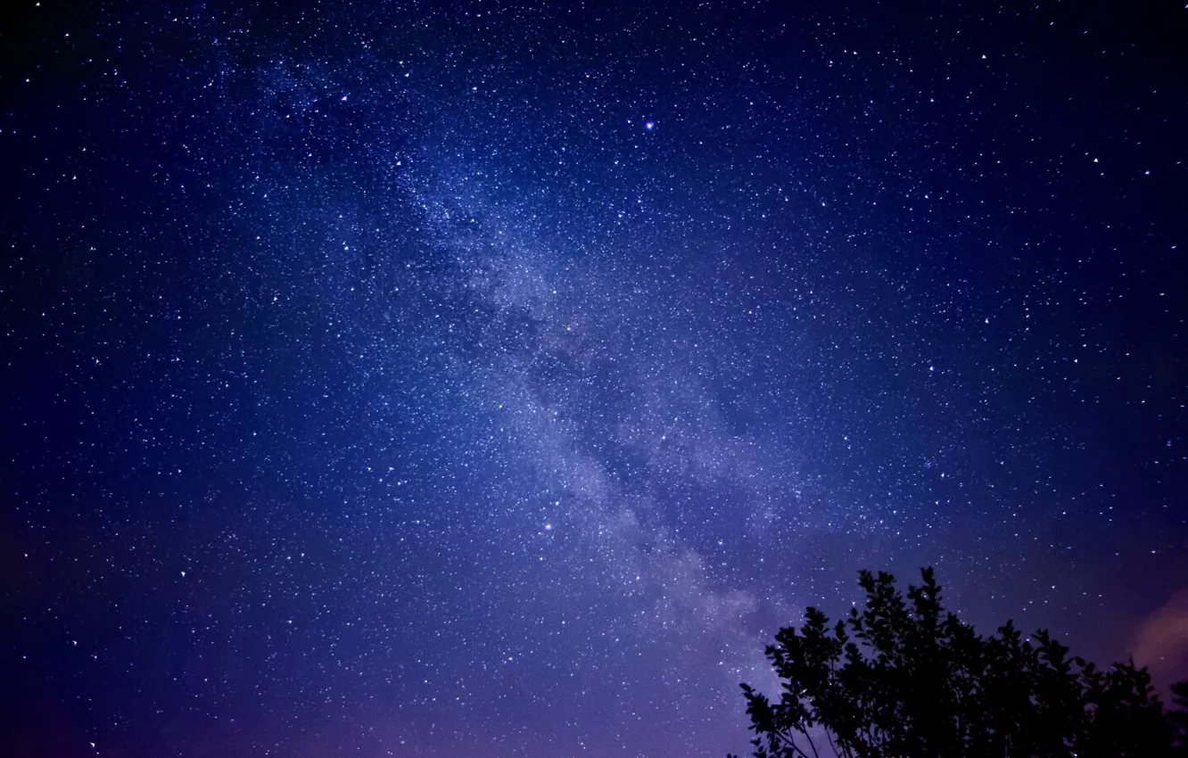 Фото обои звезды, ночь, млечный путь