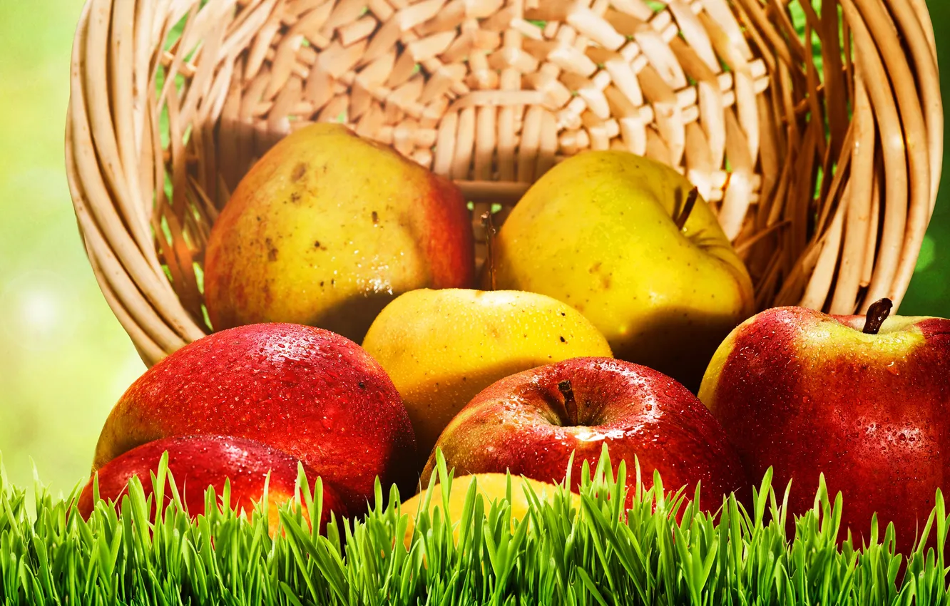 Фото обои трава, корзина, яблоки, желтые, красные, фрукты