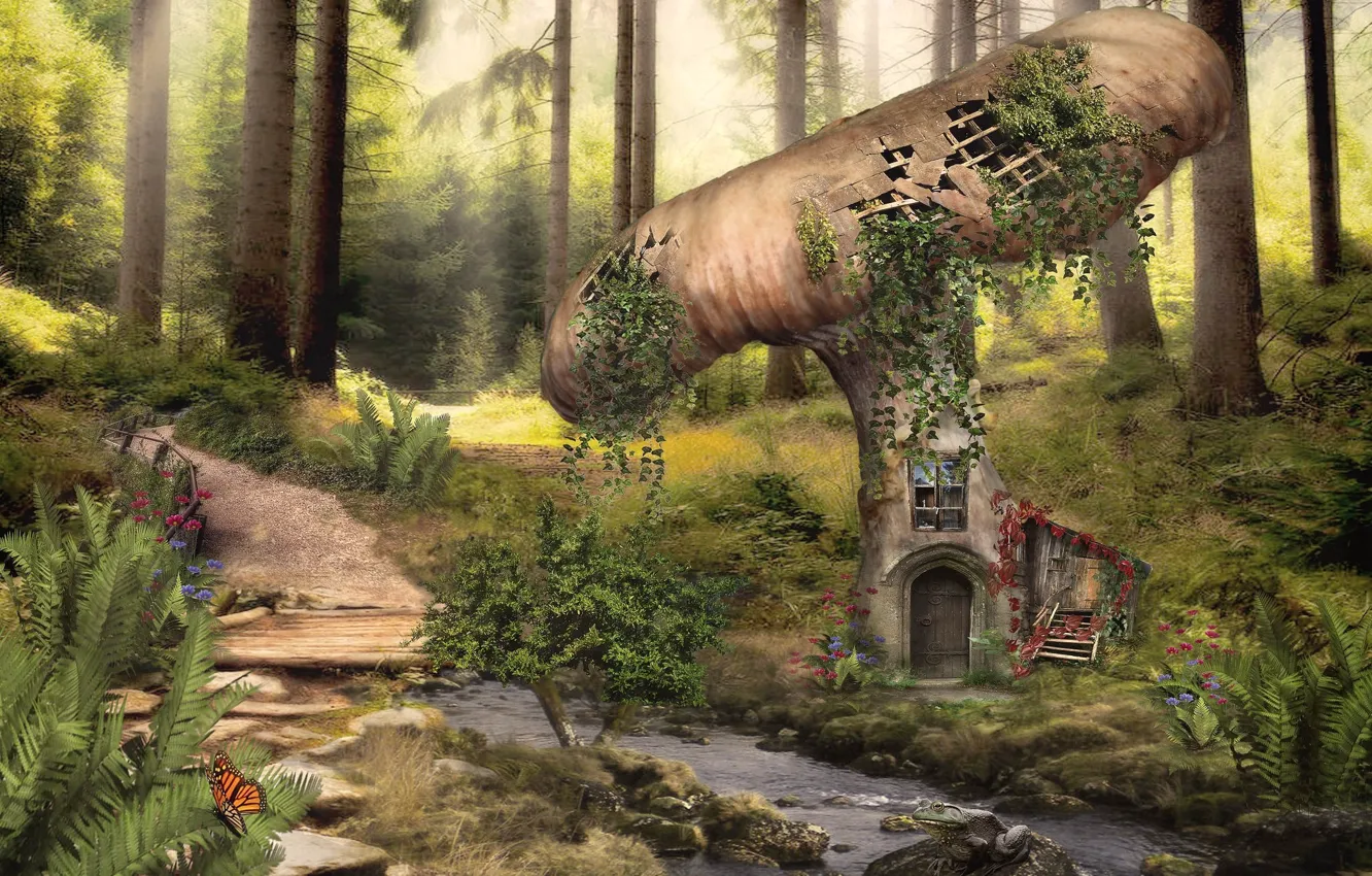 Фото обои лес, ручей, бабочка, гриб, лягушка, фэнтези, домик, тропинка