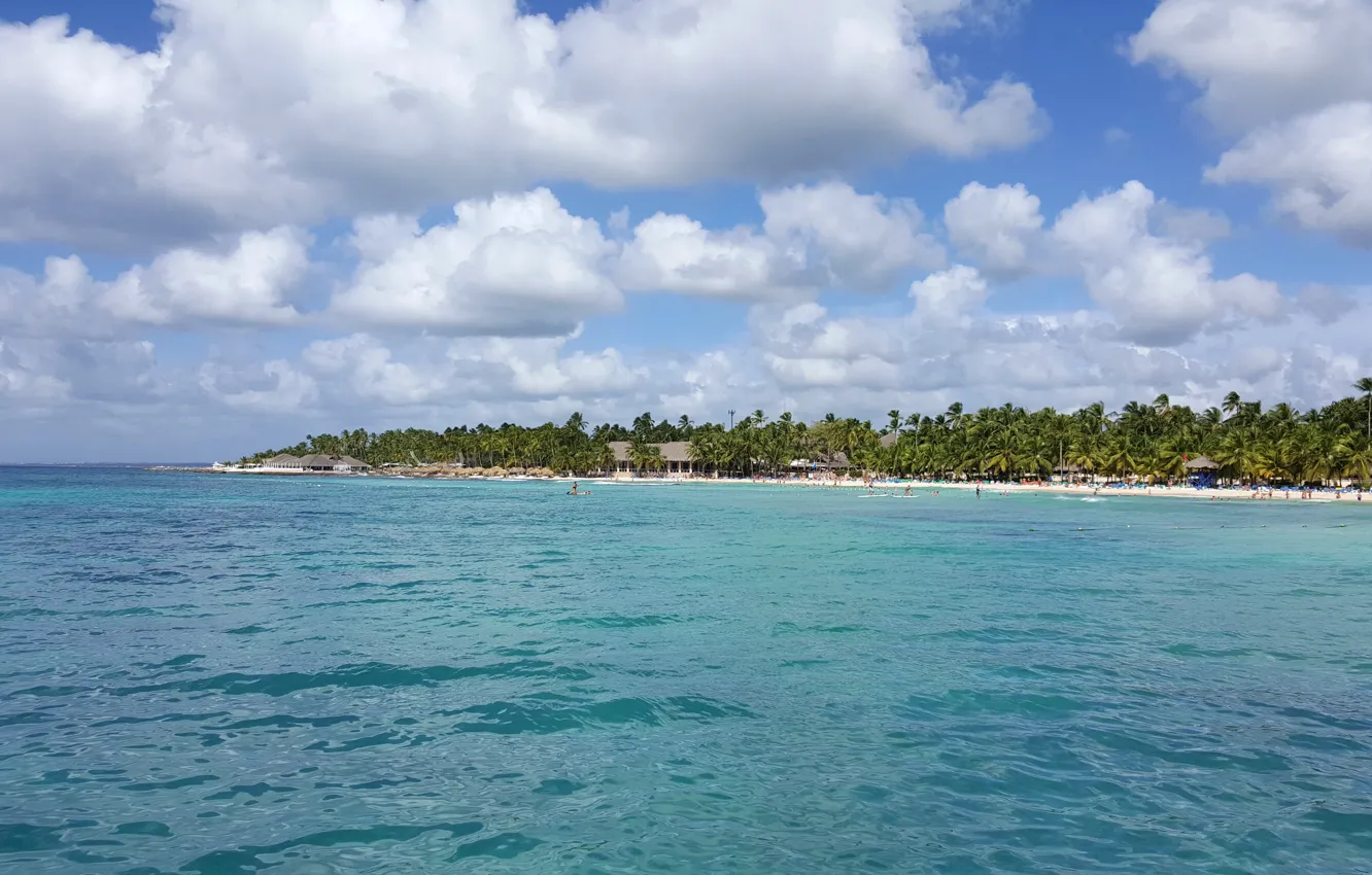 Фото обои пляж, пальмы, океан, экзотика, beach, Доминикана, Mоре