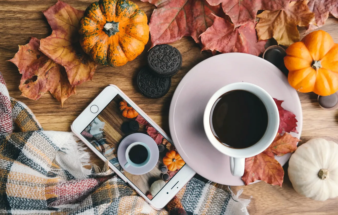 Фото обои осень, уют, фото, доски, кофе, шарф, печенье, кружка