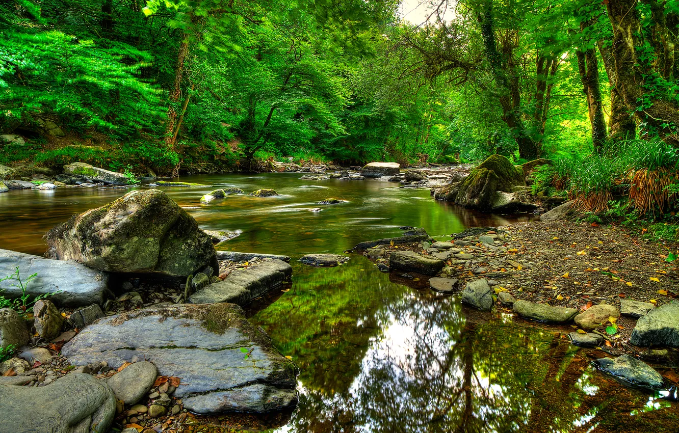 Фото обои деревья, озеро, отражение, река, камни, эксмур, Exmoor