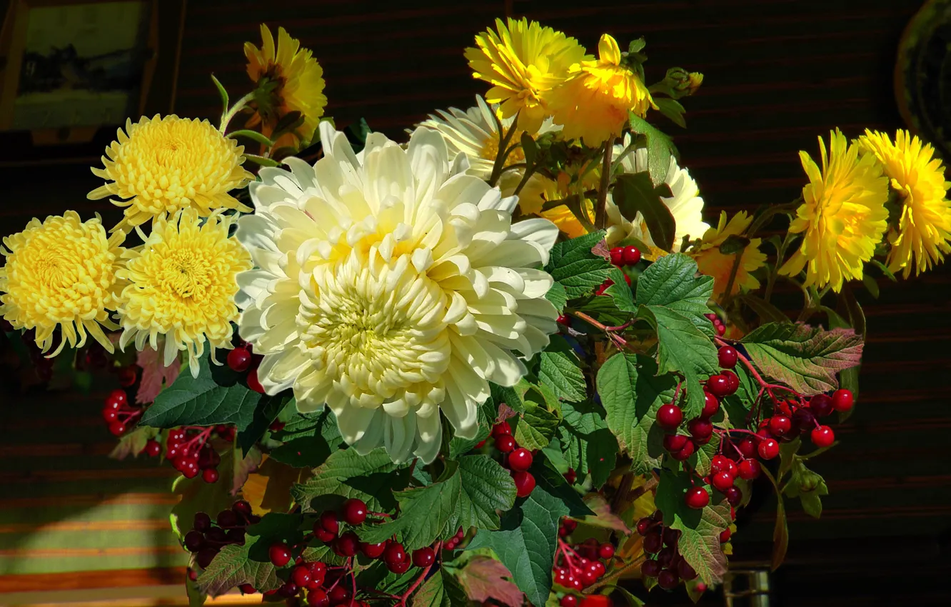 Фото обои ягоды, Букет, натюрморт, хризантемы