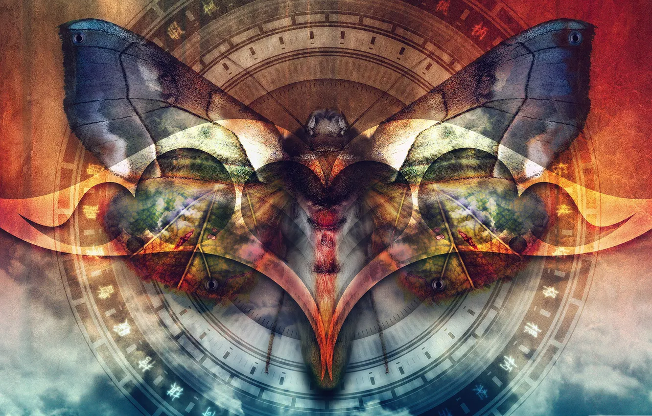 Фото обои Digital Art, color abstract, Butterfly