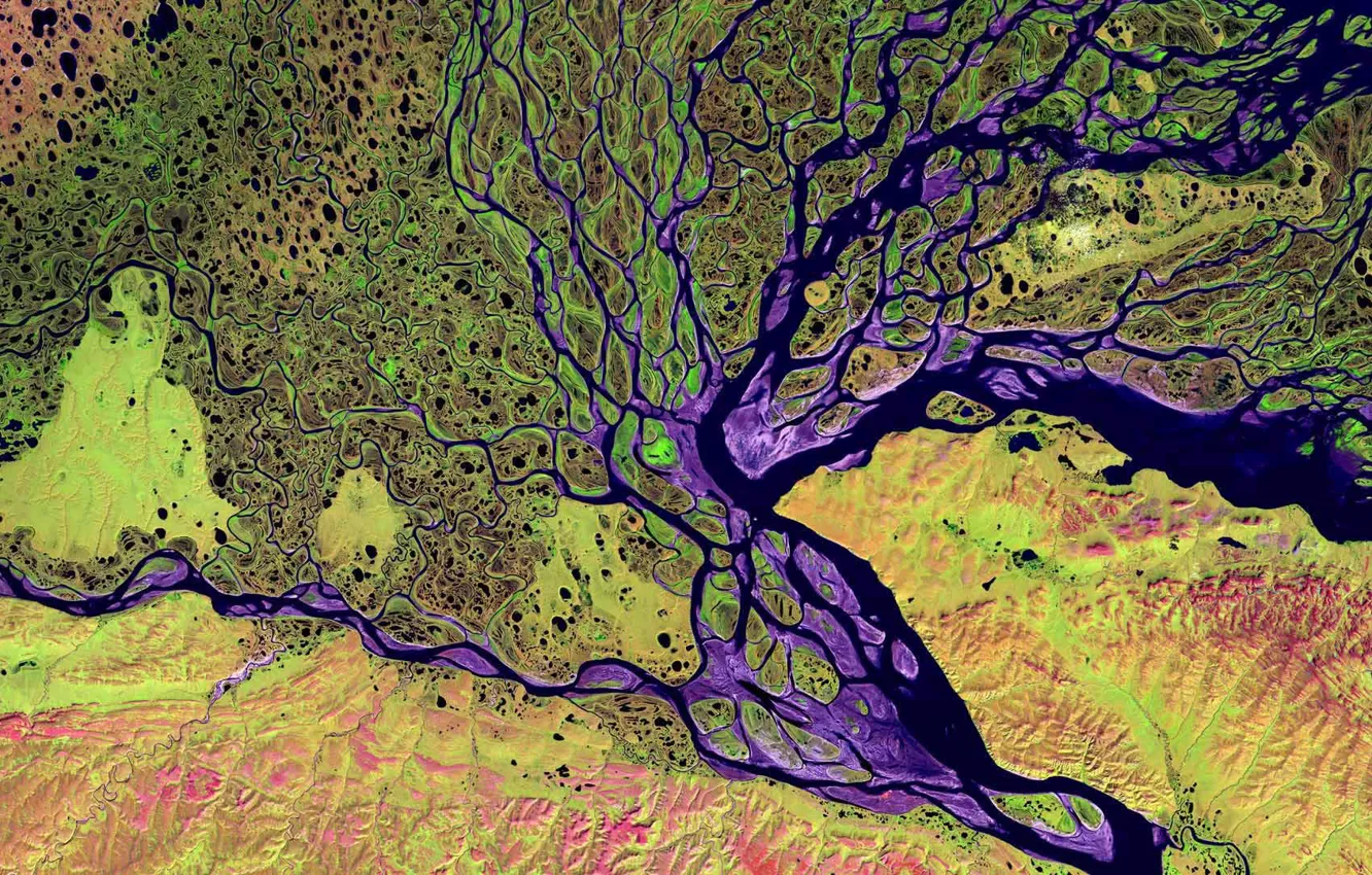 Фото обои река, дельта, Лена, Сибирь