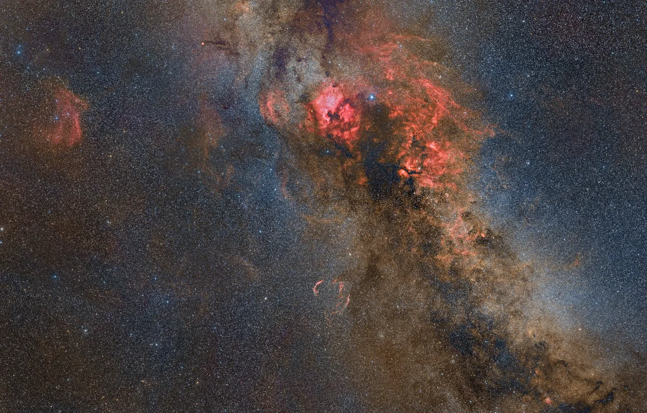 Фото обои Лебедь, созвездие, Cygnus