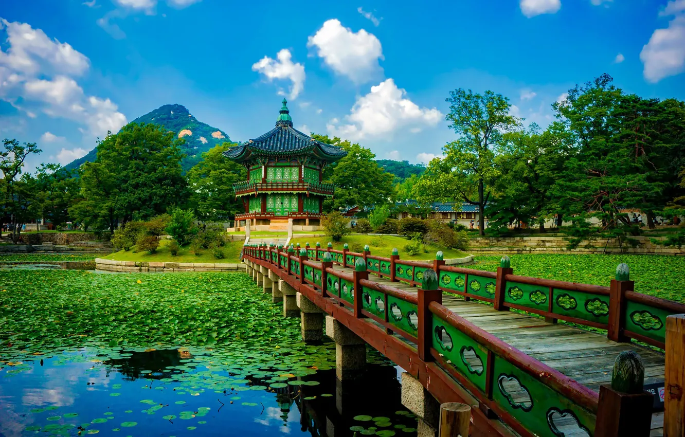 Фото обои South Korea, в парке, Южная Корея, деревянный мост, Kenbokkun