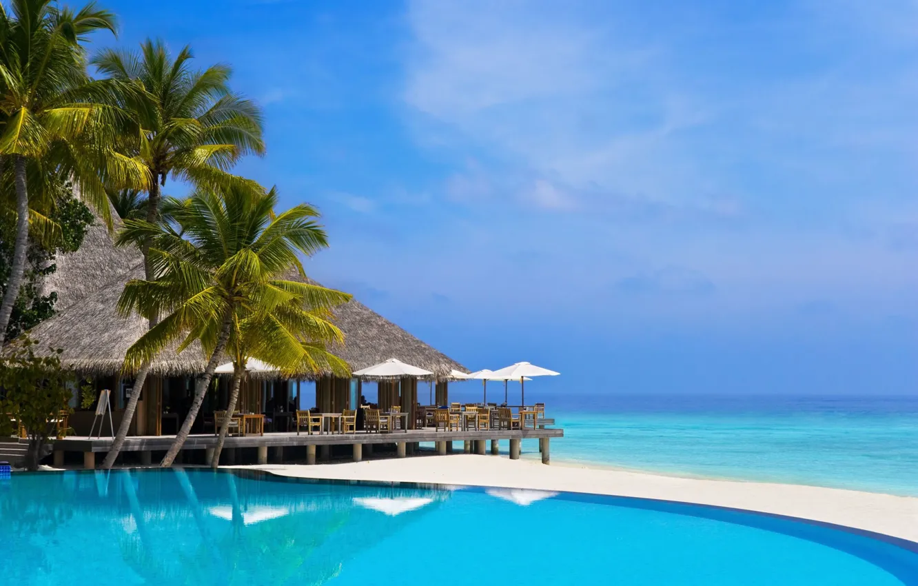 Фото обои пальмы, океан, бассейн, бунгало