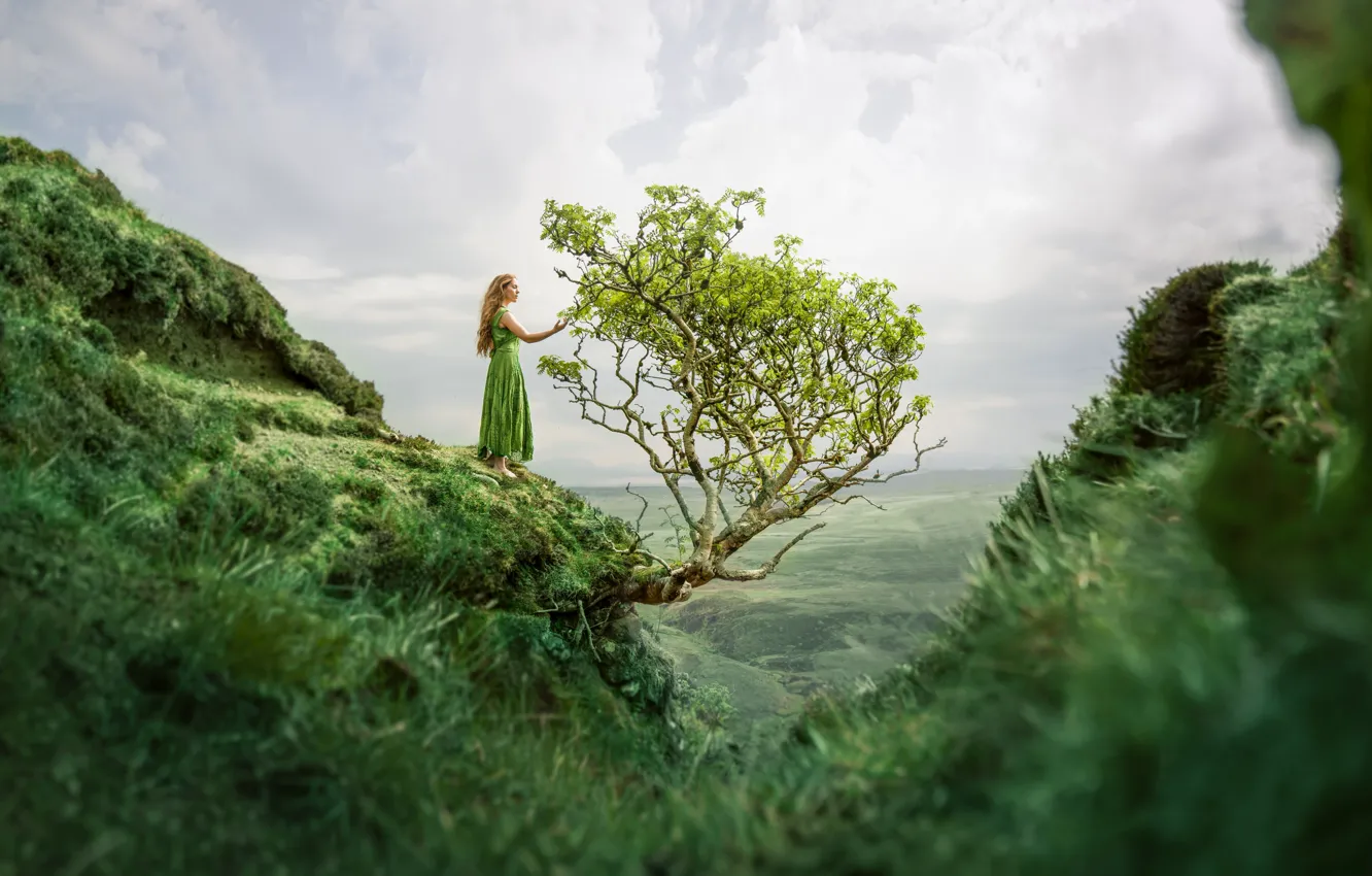 Фото обои девушка, дерево, гора