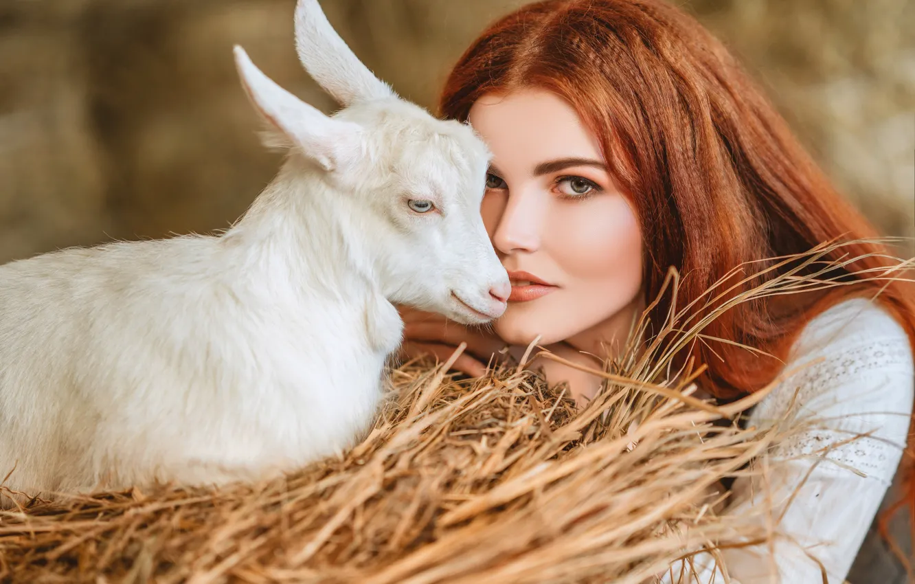 Фото обои взгляд, девушка, лицо, сено, рыжая, рыжеволосая, коза, козлёнок