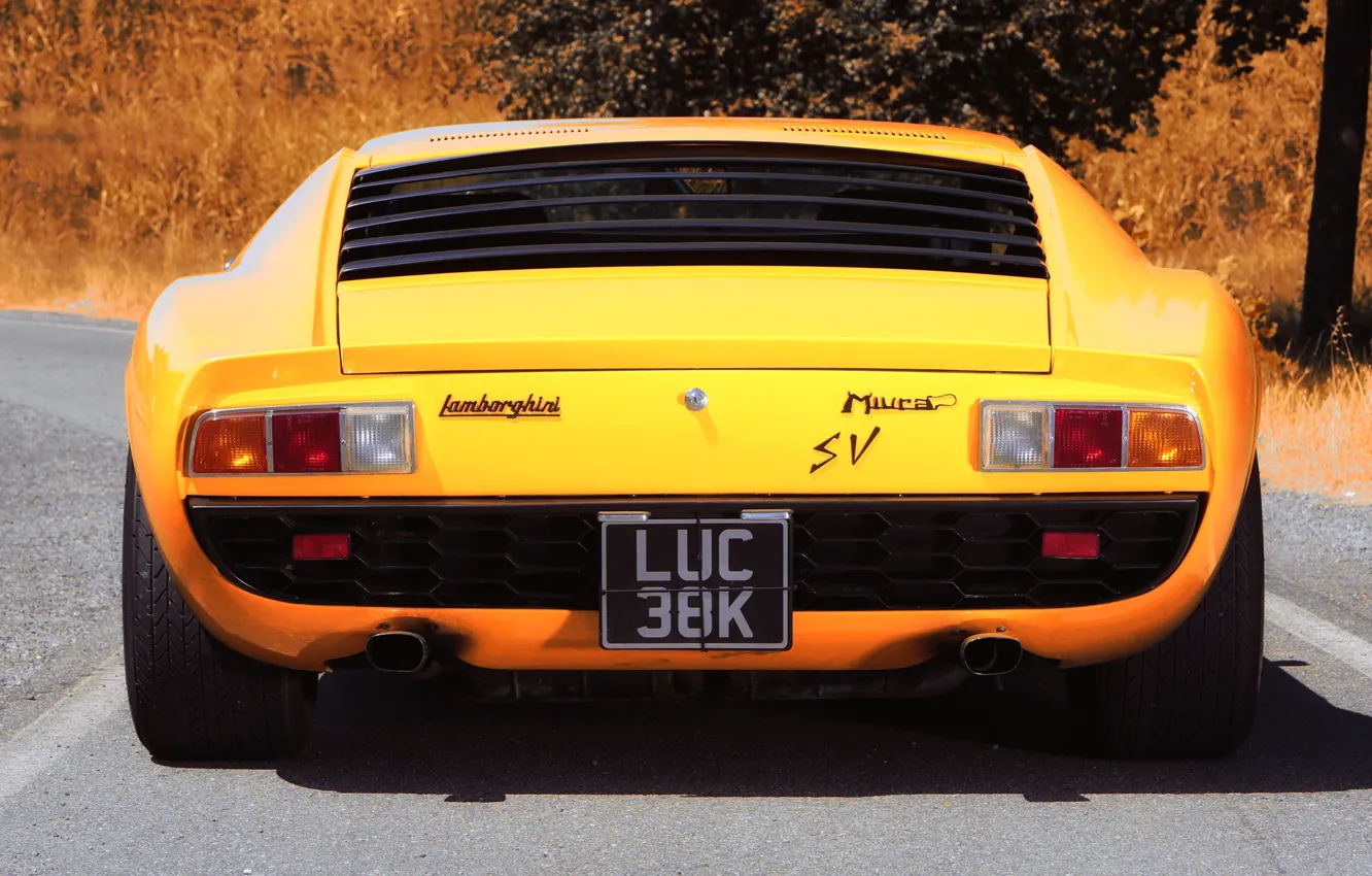 Фото обои Цвет, Авто, Желтый, Lamborghini, Машина, 1971, Автомобиль, Supercar