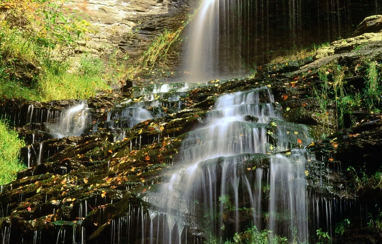 Фото обои трава, листья, деревья, скалы, водопад, каскад
