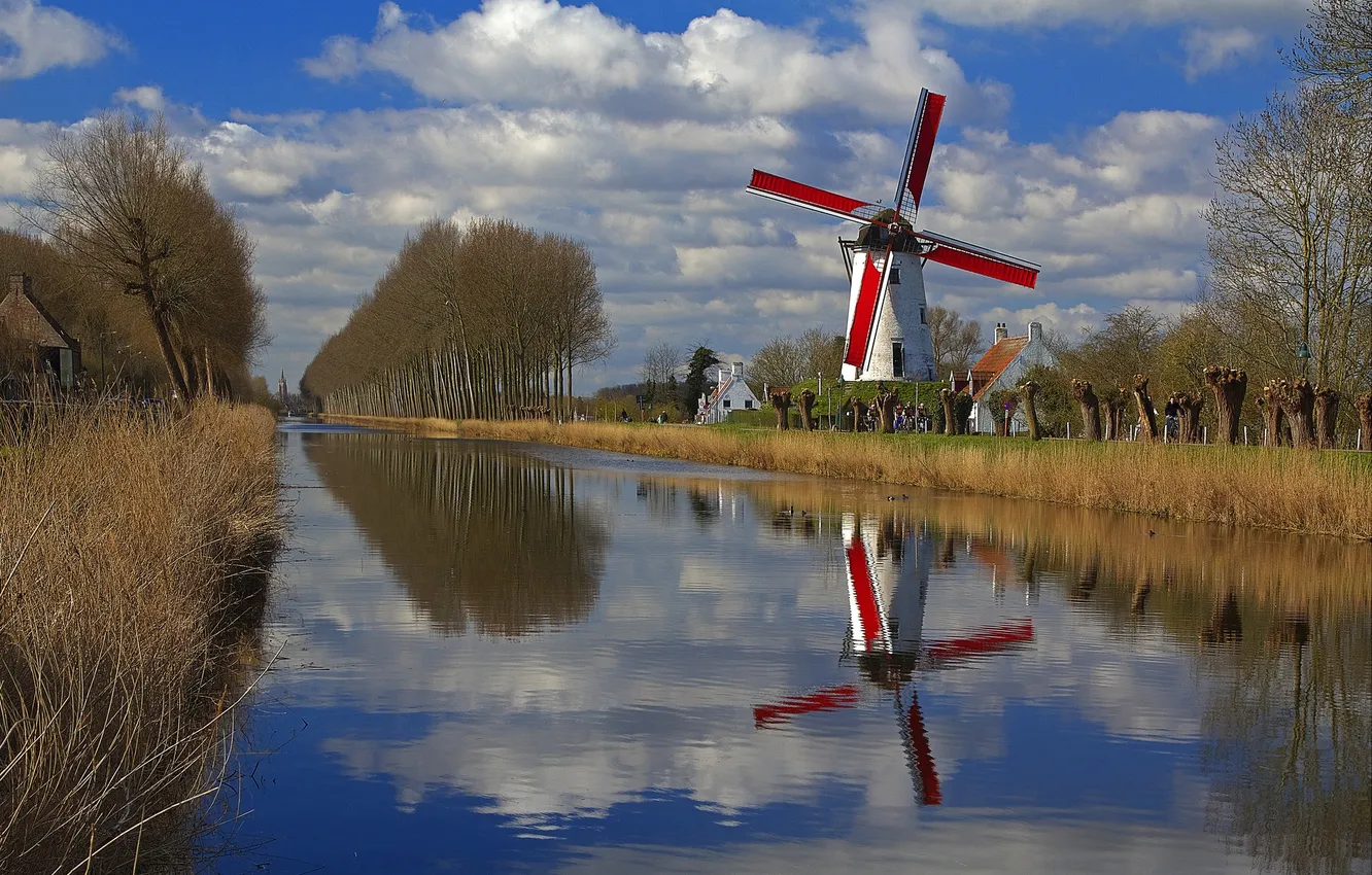 Фото обои деревья, отражение, весна, канал, Бельгия, Фландрия, ветряная мельница