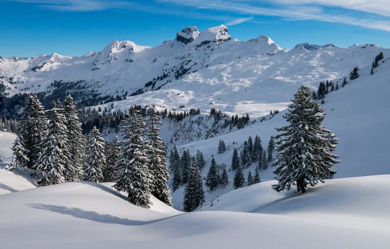 Фото обои зима, лес, снег, горы, вершины, ели, сугробы, заснеженные