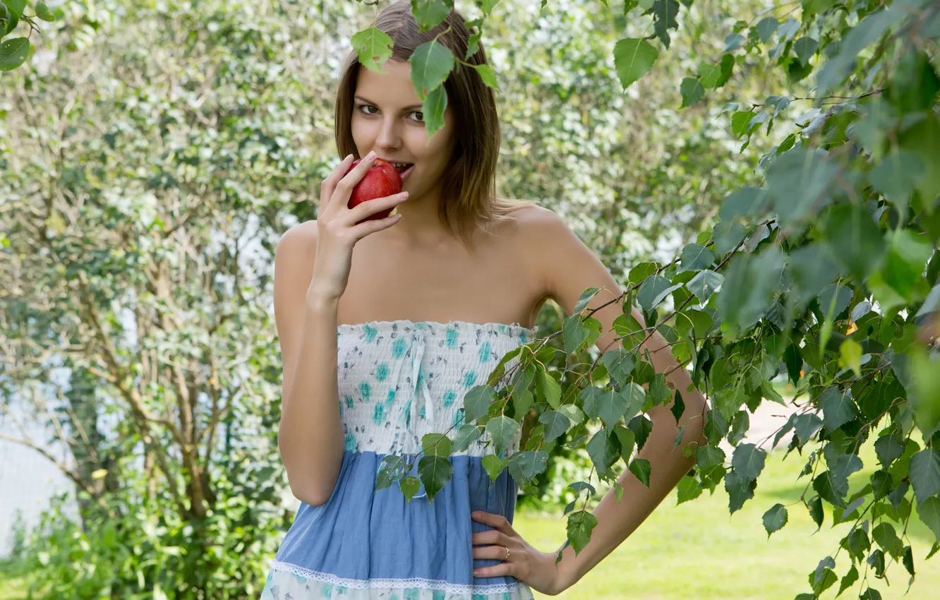 Фото обои взгляд, листья, девушка, дерево, яблоко, платье