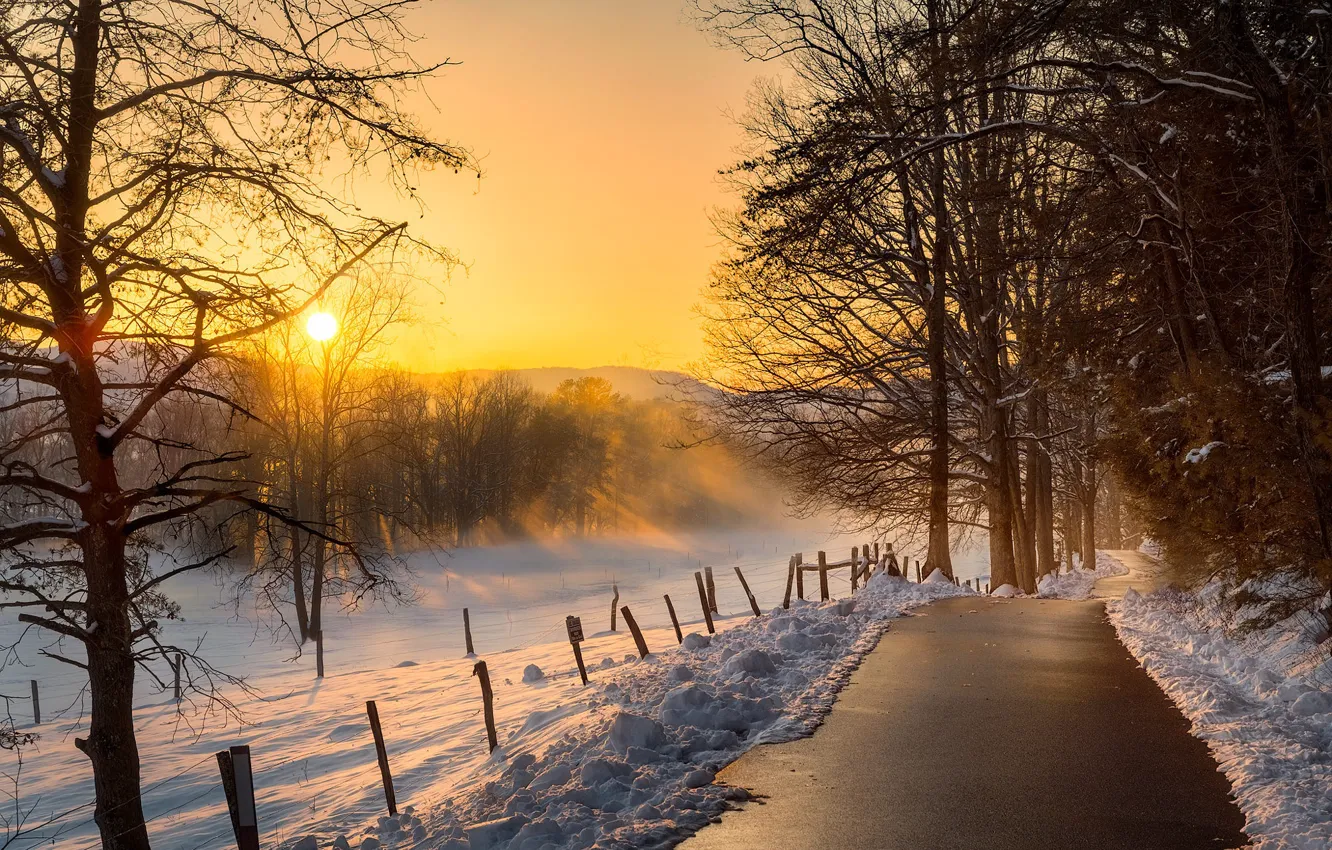 Фото обои зима, снег, деревья, закат, фото, дорожка, Frank Delargy