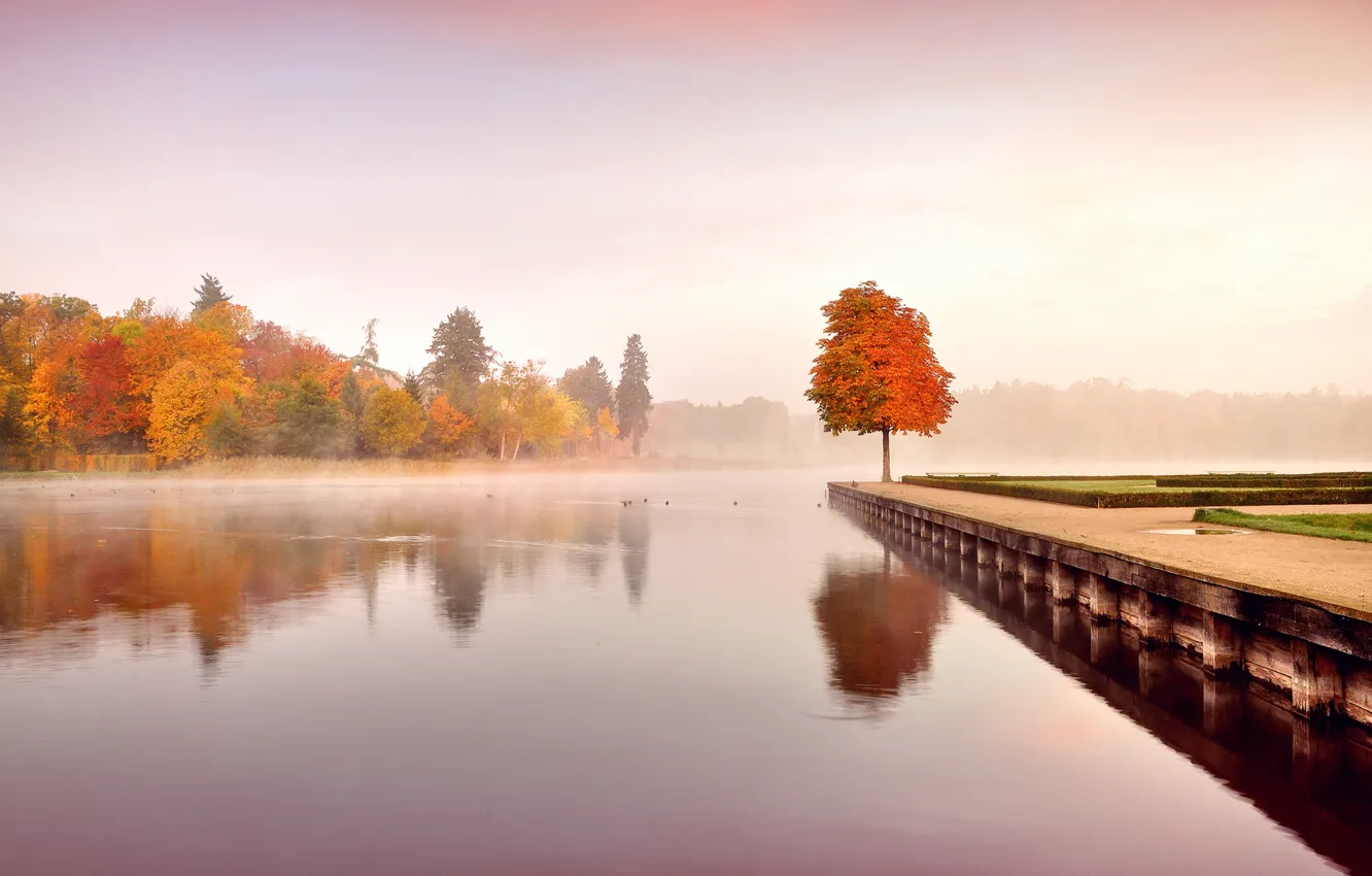 Фото обои осень, листья, вода, деревья, пейзаж, природа, туман, утро
