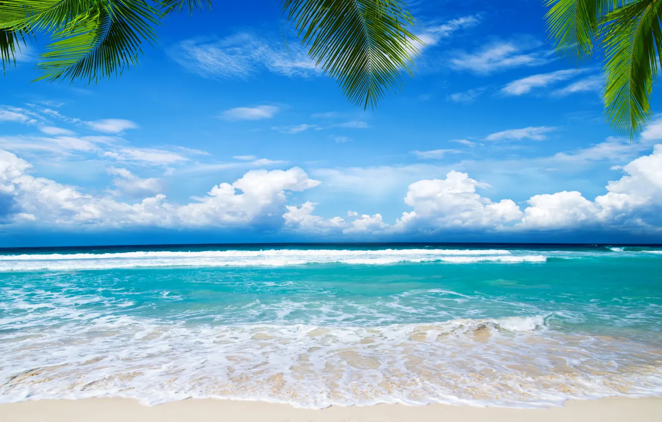 Фото обои песок, море, пляж, пальмы, берег, summer, beach, sea