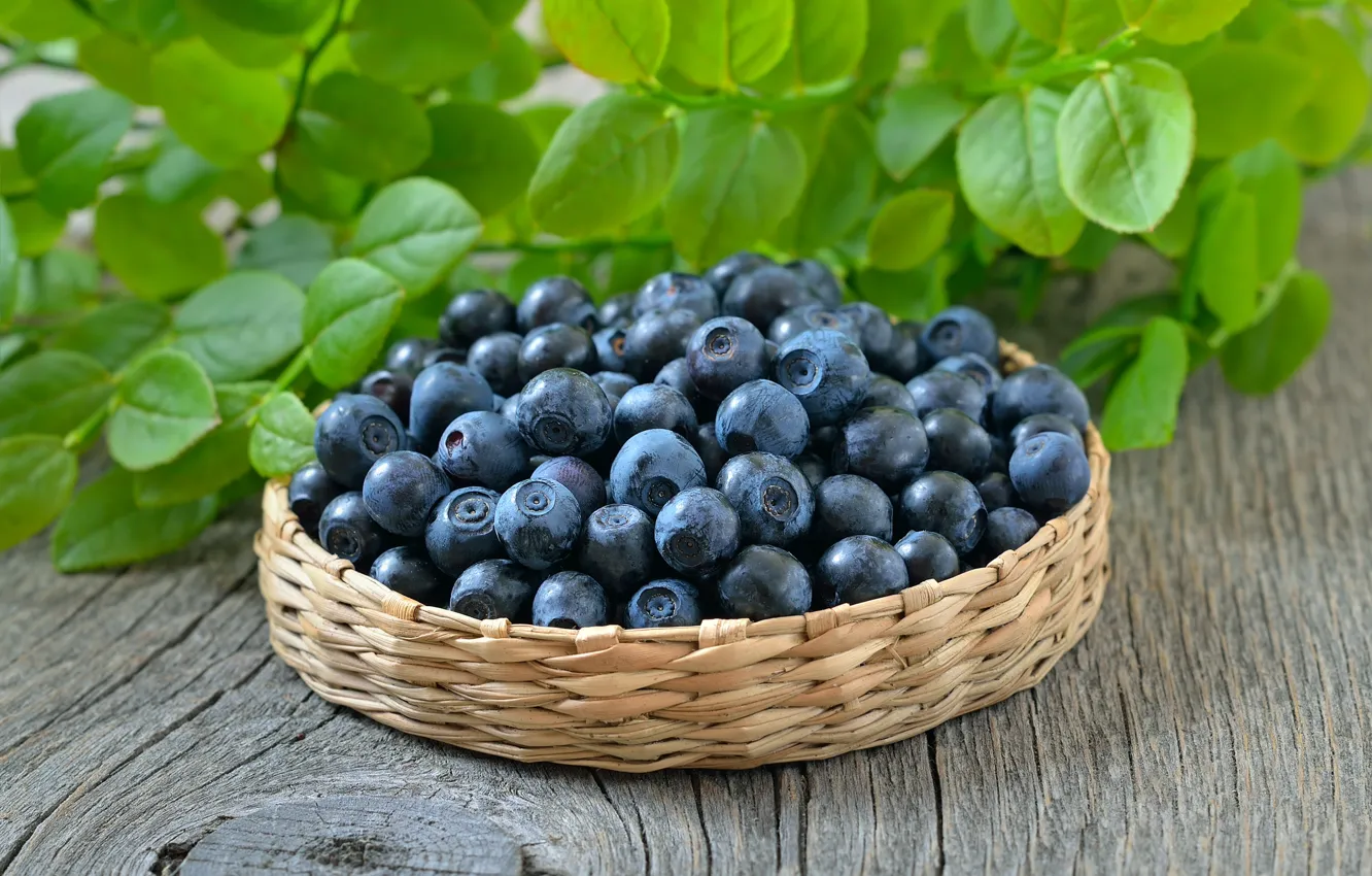 Фото обои ягоды, черника, корзинка, blueberry