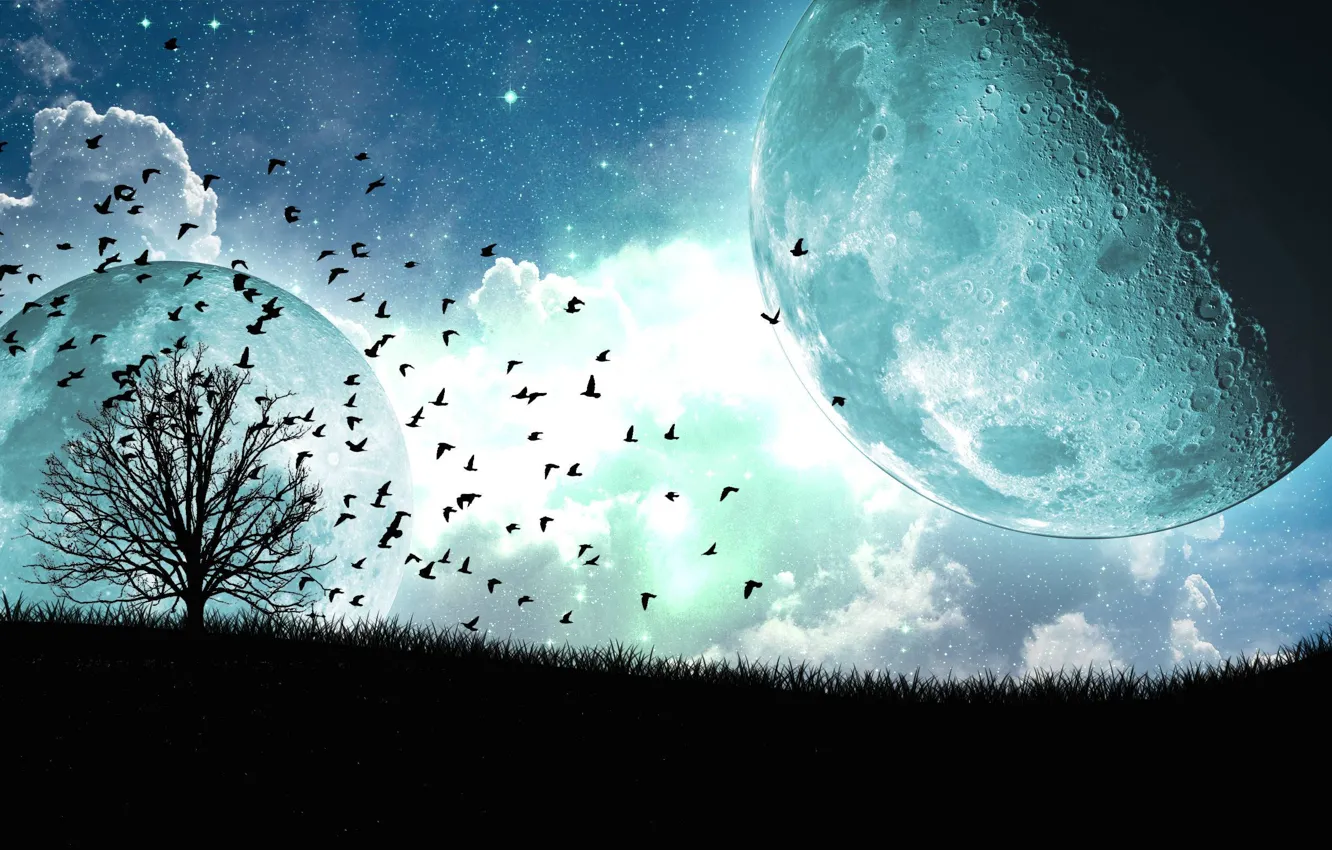Фото обои облака, птицы, дерево, луна, спутник