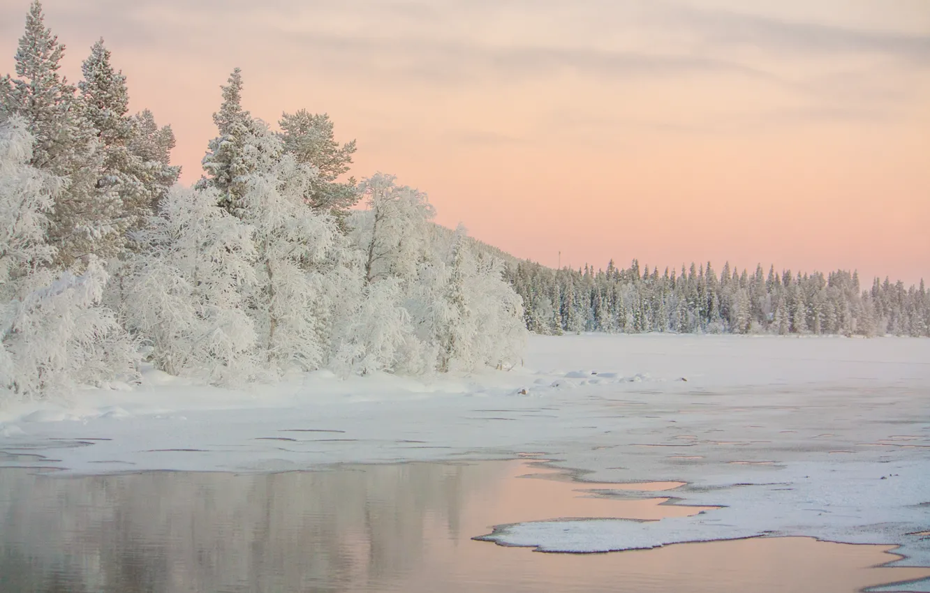 Фото обои зима, деревья, озеро, рассвет