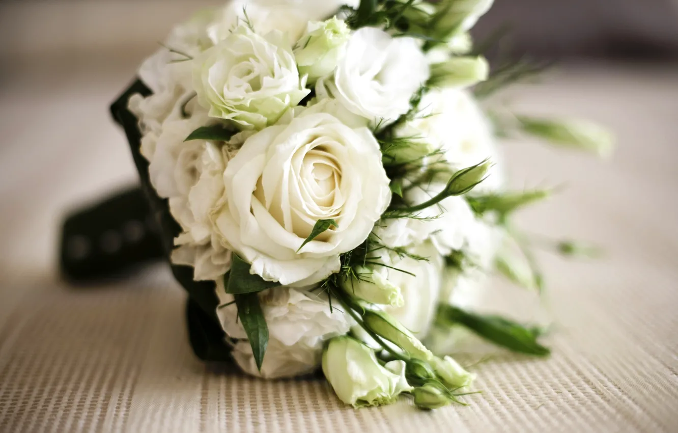 Фото обои розы, букет, белые, roses