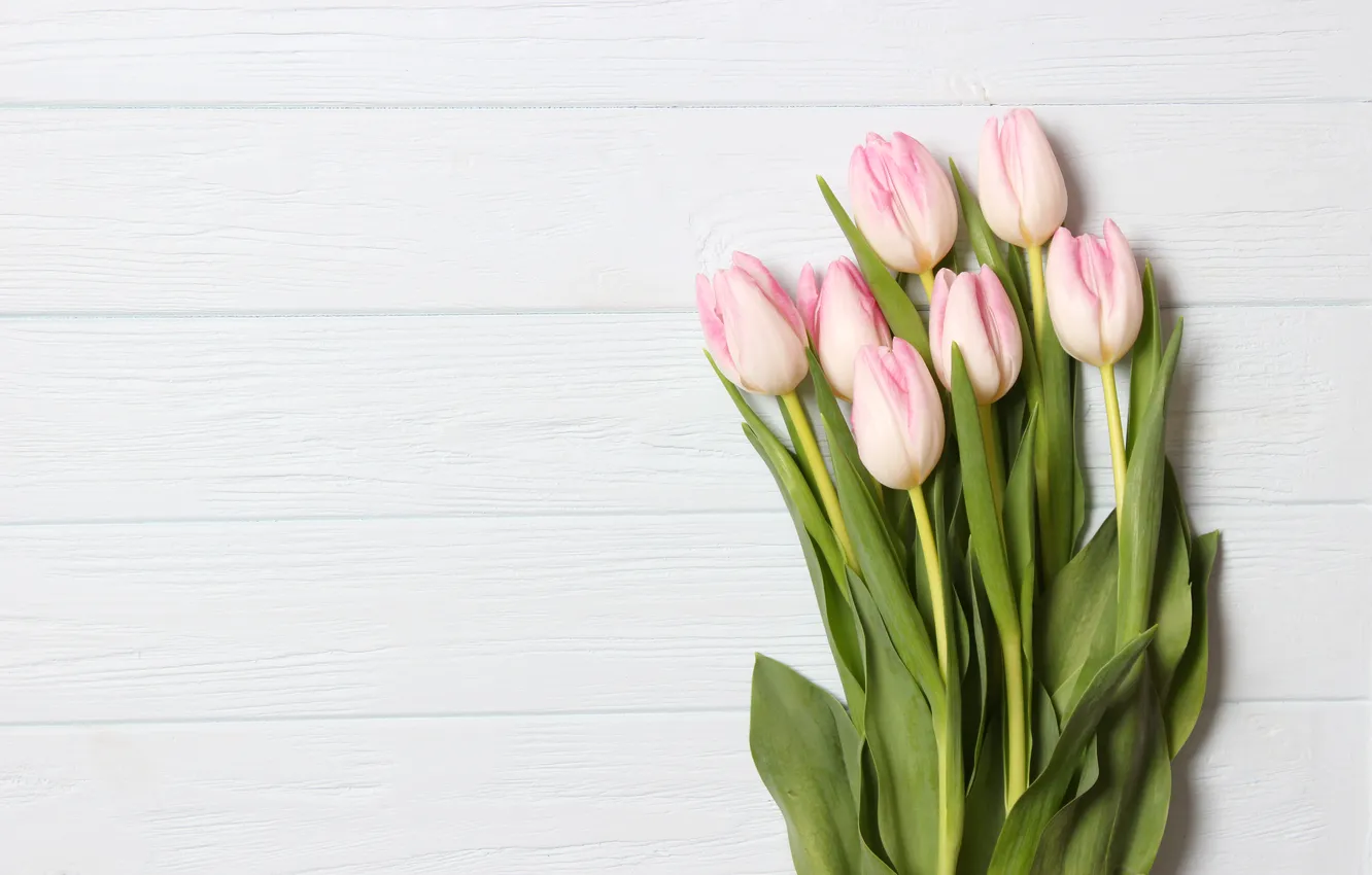 Фото обои цветы, букет, тюльпаны, розовые, wood, pink, flowers, beautiful