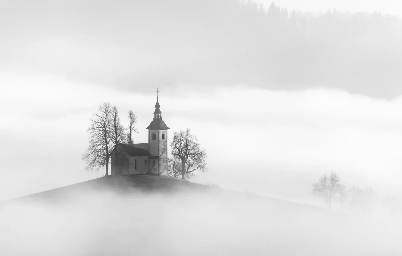 Фото обои природа, туман, дом