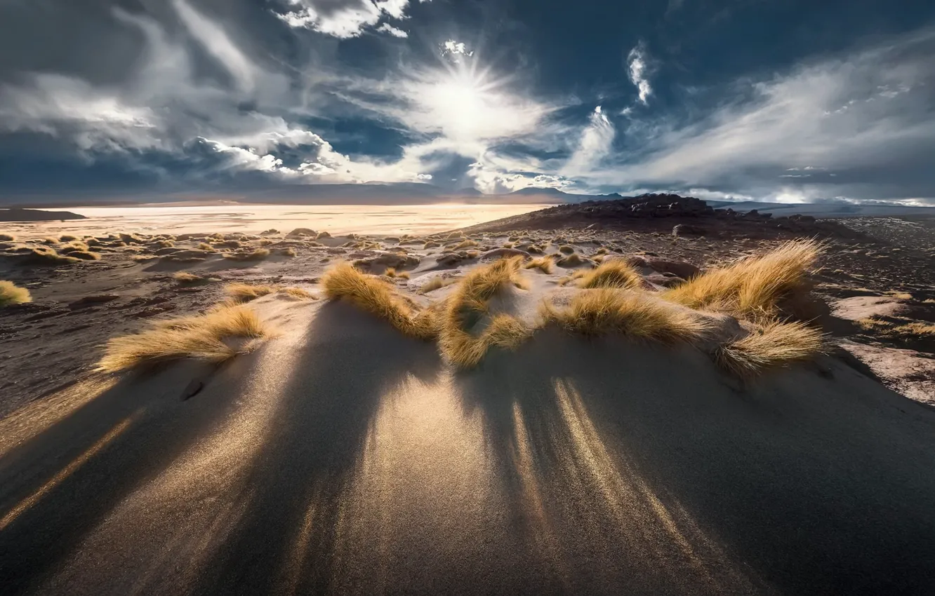 Фото обои море, берег, утро, дюны